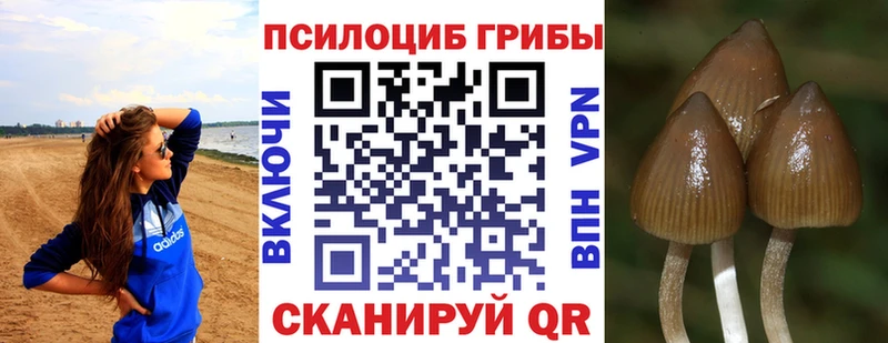 Галлюциногенные грибы GOLDEN TEACHER  продажа наркотиков  Приволжский 