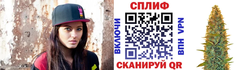 закладки  Приволжский  Конопля ГИДРОПОН 